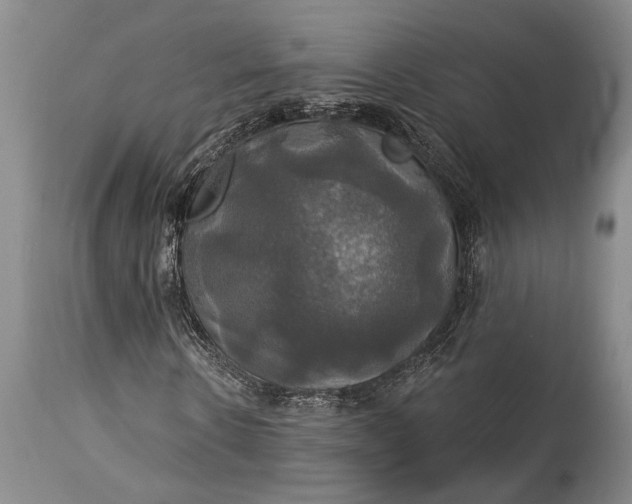 X0000115330914200911161805