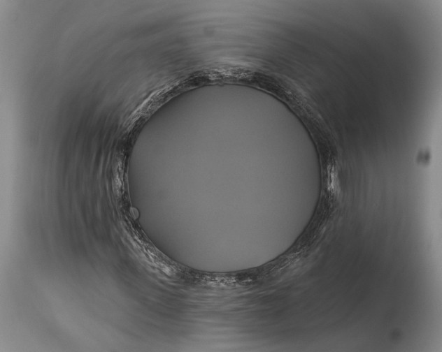 X0000115330915200911161805