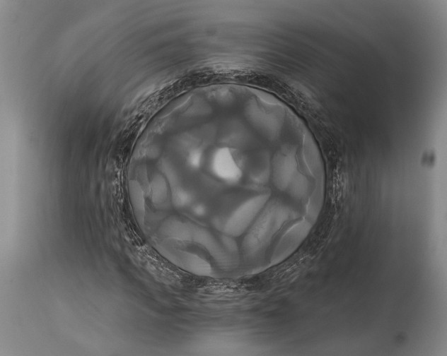 X0000115330917200911161805