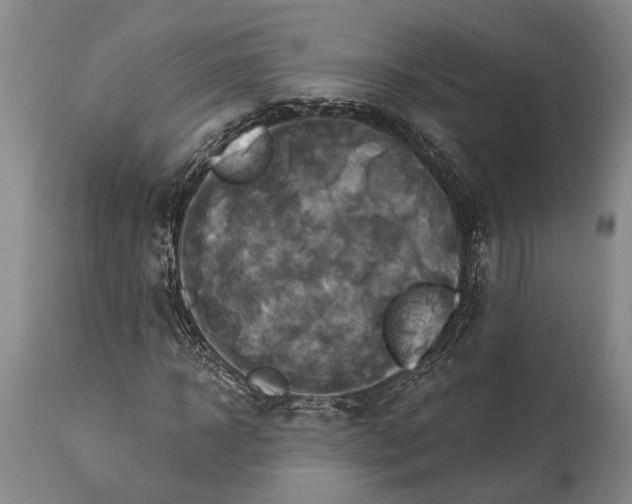 X0000115330918200911161805