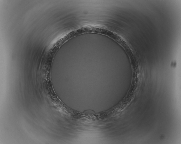 X0000115330919200911161805