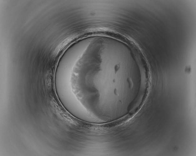X0000115330921200911161805