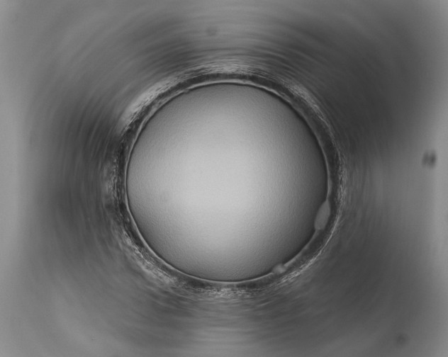 X0000115330922200911161805