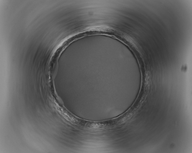 X0000115330923200911161805