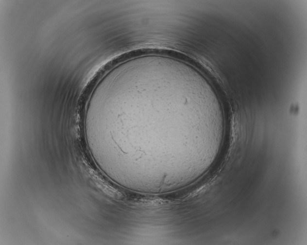 X0000115330926200911161805