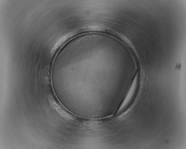X0000115330930200911161805