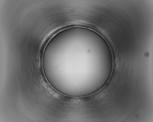 X0000115330931200911161805