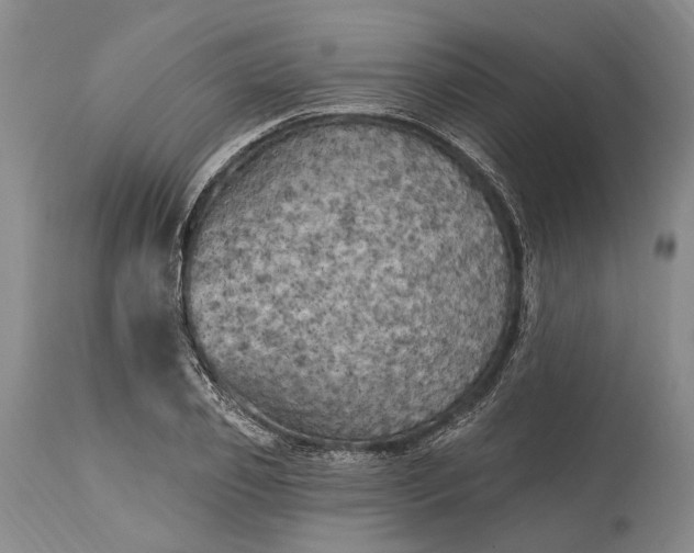 X0000115330933200911161805
