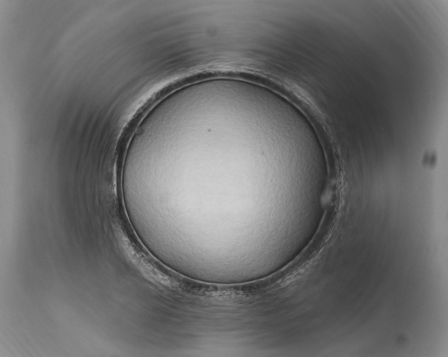 X0000115330934200911161805