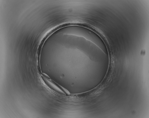 X0000115330935200911161805
