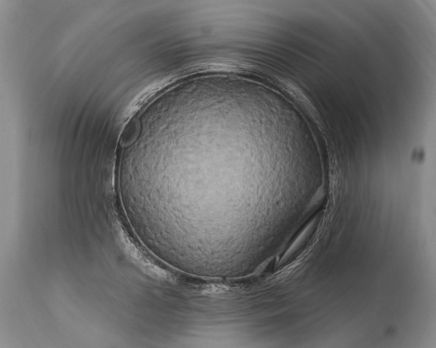 X0000115330938200911161805
