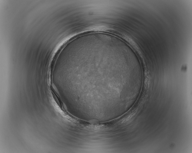 X0000115330939200911161805