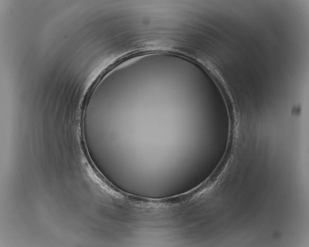 X0000115330941200911161805