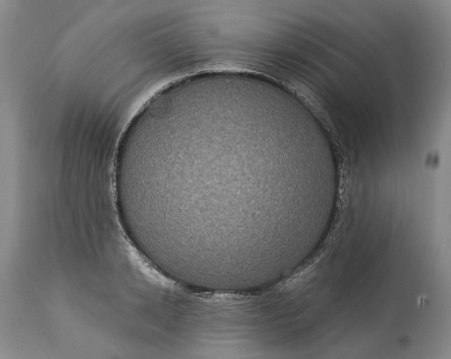 X0000115330942200911161805