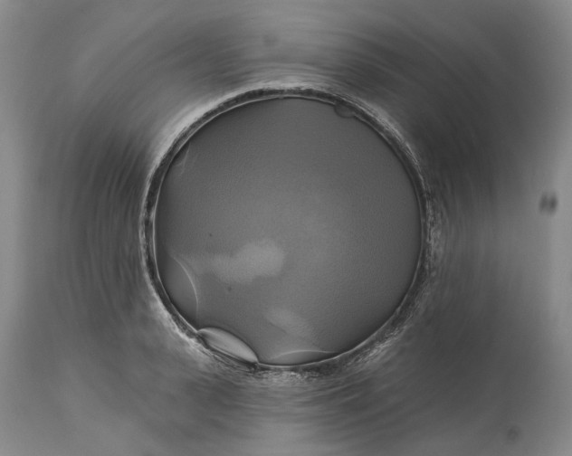 X0000115330943200911161805