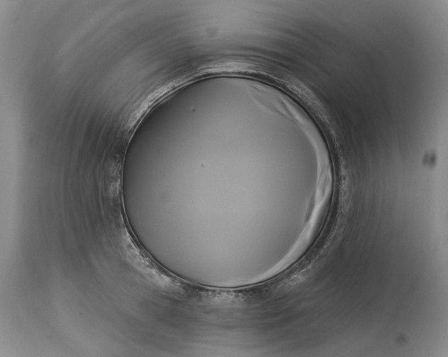 X0000115330945200911161805