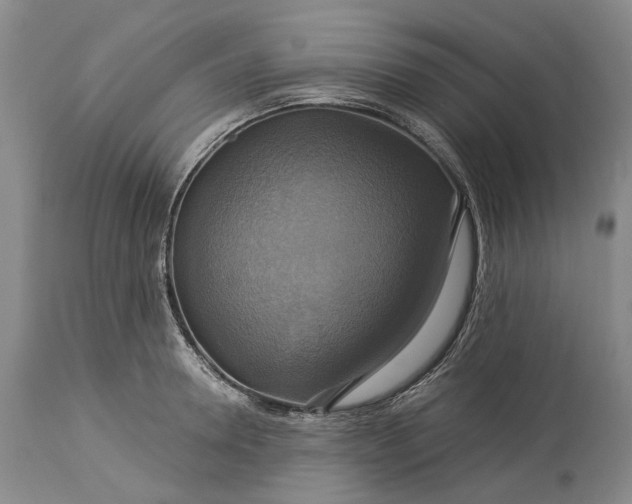 X0000115330946200911161805