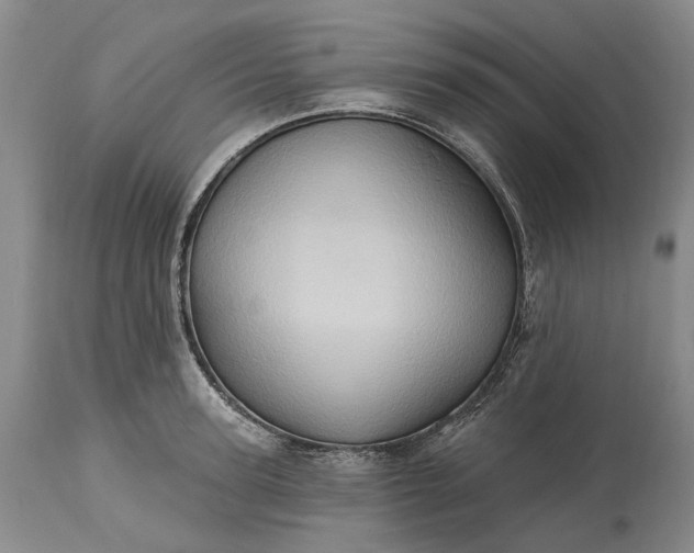X0000115330947200911161805