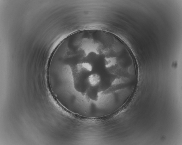 X0000115330949200911161805