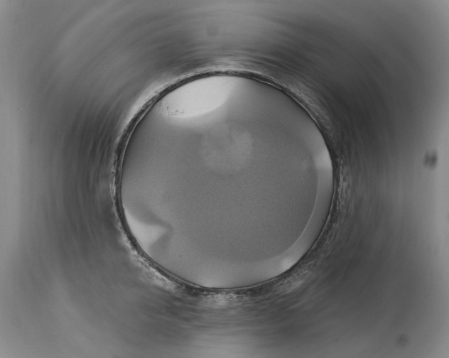 X0000115330950200911161805