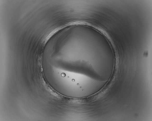 X0000115330953200911161806