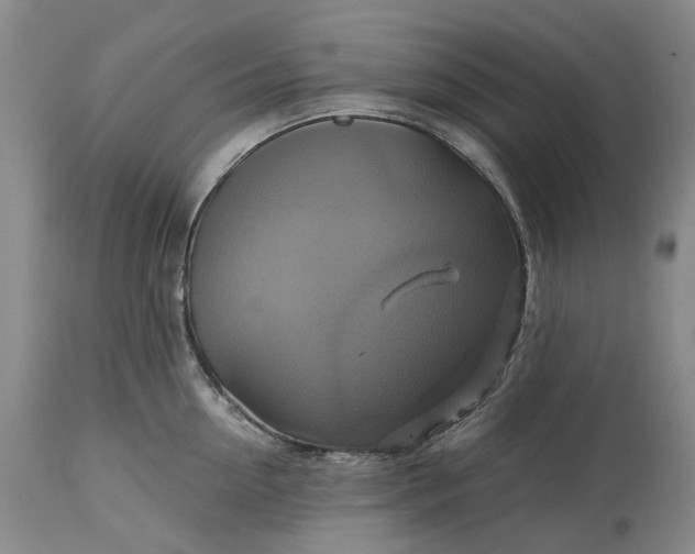 X0000115330954200911161806