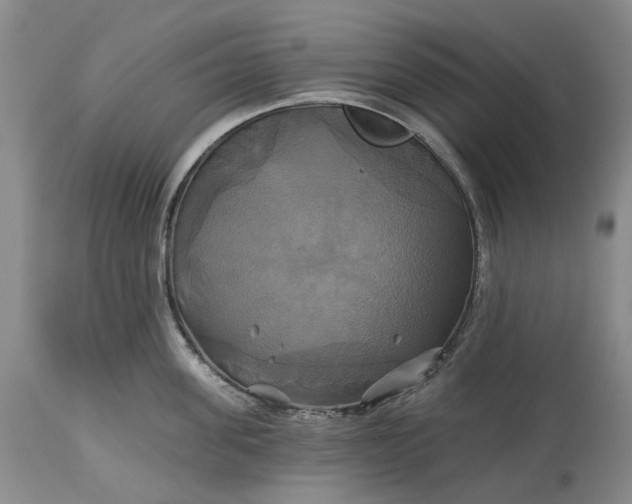 X0000115330955200911161806