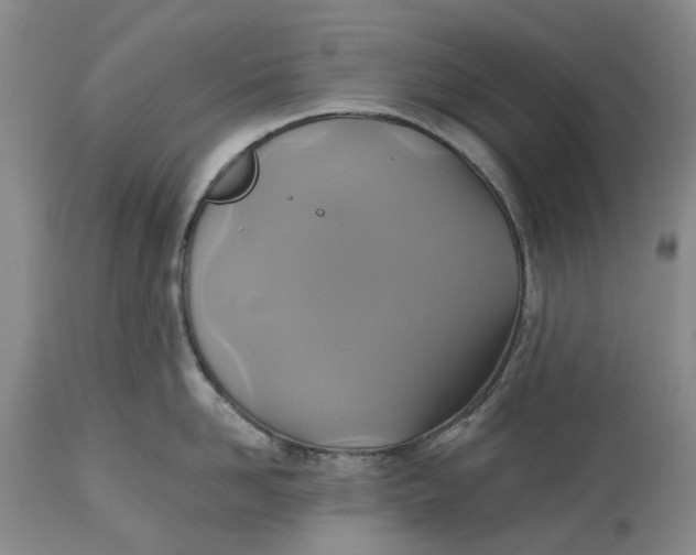 X0000115330958200911161806