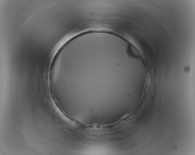 X0000115330959200911161806