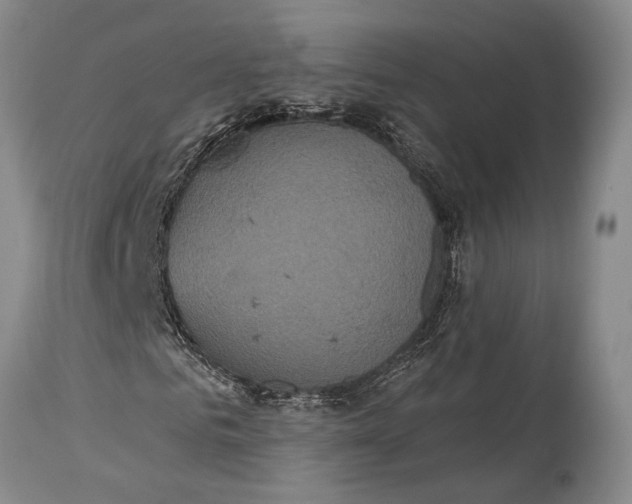 X0000115330961200911161805