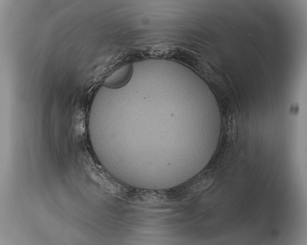 X0000115330962200911161805