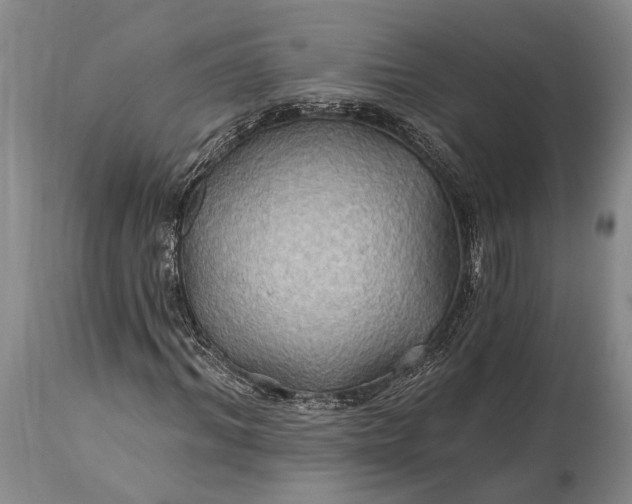 X0000115330964200911161805