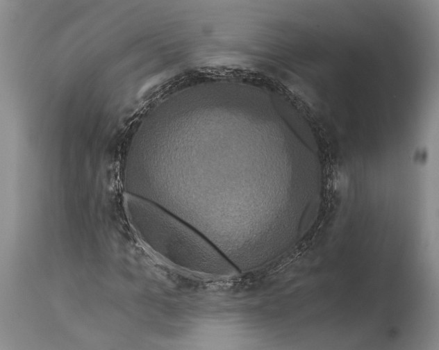 X0000115330965200911161805