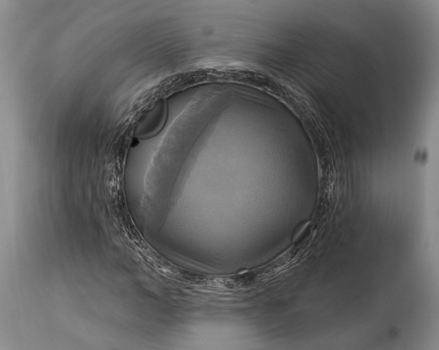 X0000115330966200911161805