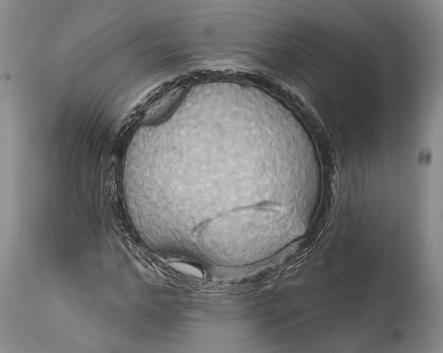 X0000115330968200911161805