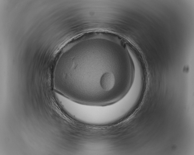 X0000115330969200911161805