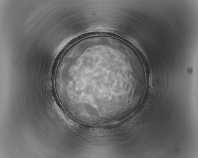 X0000115330972200911161805