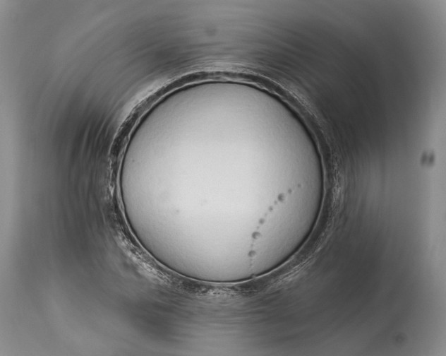 X0000115330974200911161805