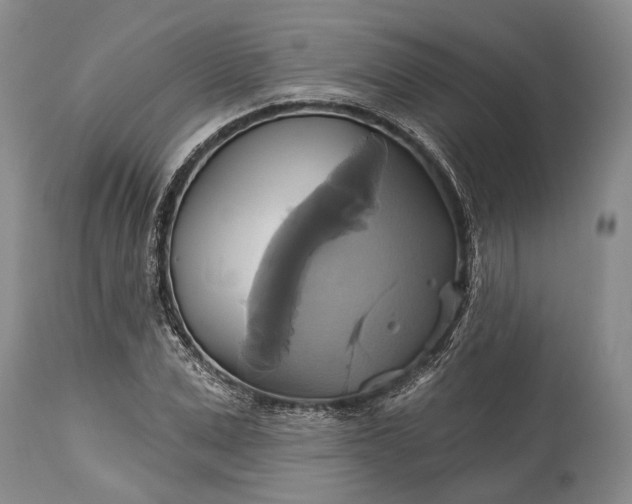 X0000115330975200911161805