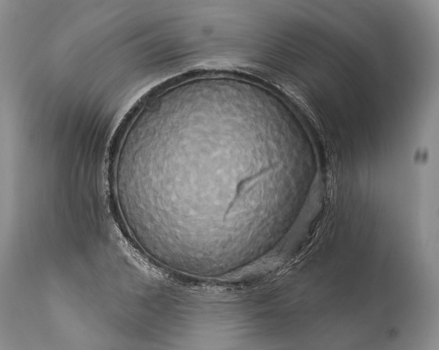X0000115330976200911161805