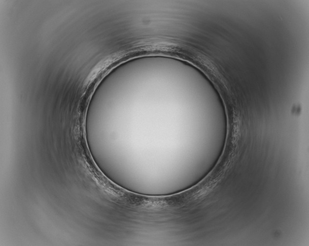 X0000115330978200911161805