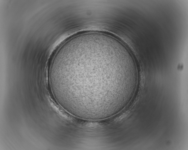 X0000115330982200911161804