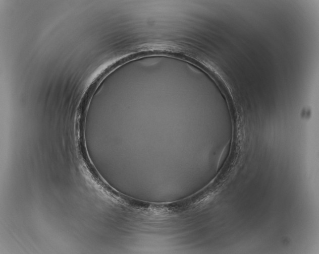 X0000115330983200911161804