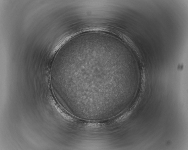 X0000115330985200911161804