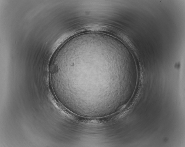 X0000115330986200911161804