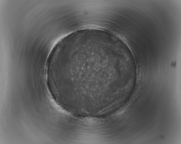 X0000115330987200911161804