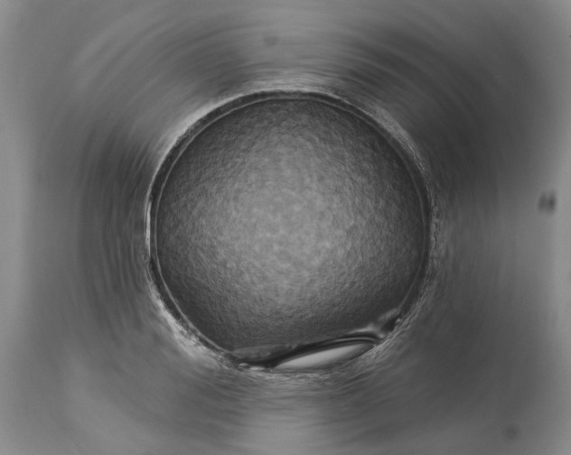 X0000115330988200911161804