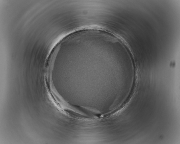 X0000115330989200911161804