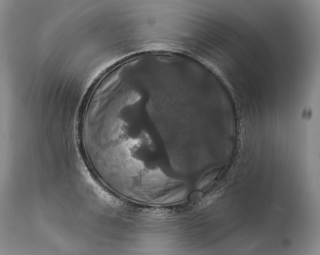 X0000115330991200911161804