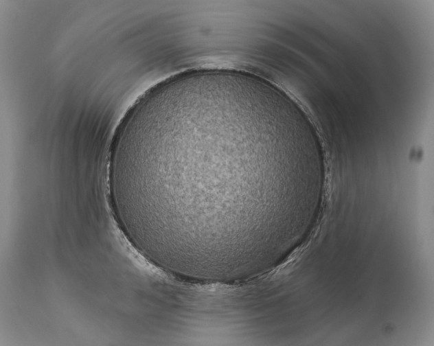 X0000115330992200911161804